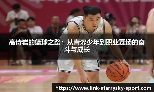 星空体育官网下载